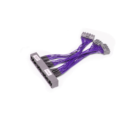 OBD-2b to OBD-1 Honda Jumper Harness